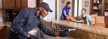 Best Residential Pest Control  in Al Creek, CO